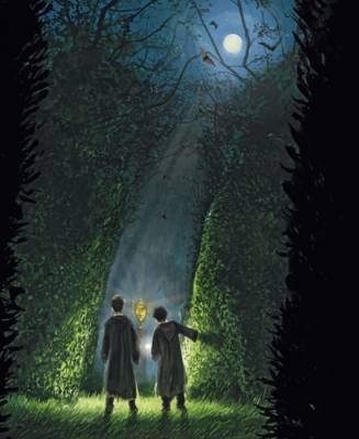 Гарри Поттер и Кубок Огня (с цветными иллюстрациями)